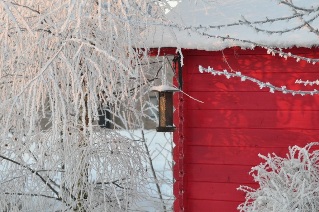 Den Garten sicher durch den Winter bringen