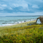 Typisch Ahrenshoop mit Blick auf die Ostsee