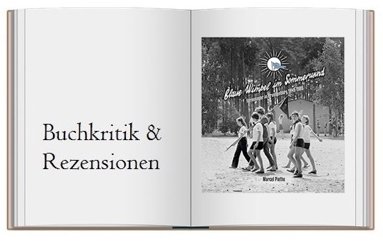Buchcover zur Kritik von Blaue Wimpel im Sommerwind